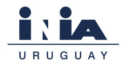 Nuestro trabajo es colaborativo