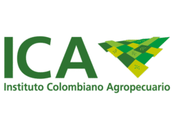Nuestro trabajo es colaborativo